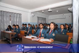 Experienced Faculty